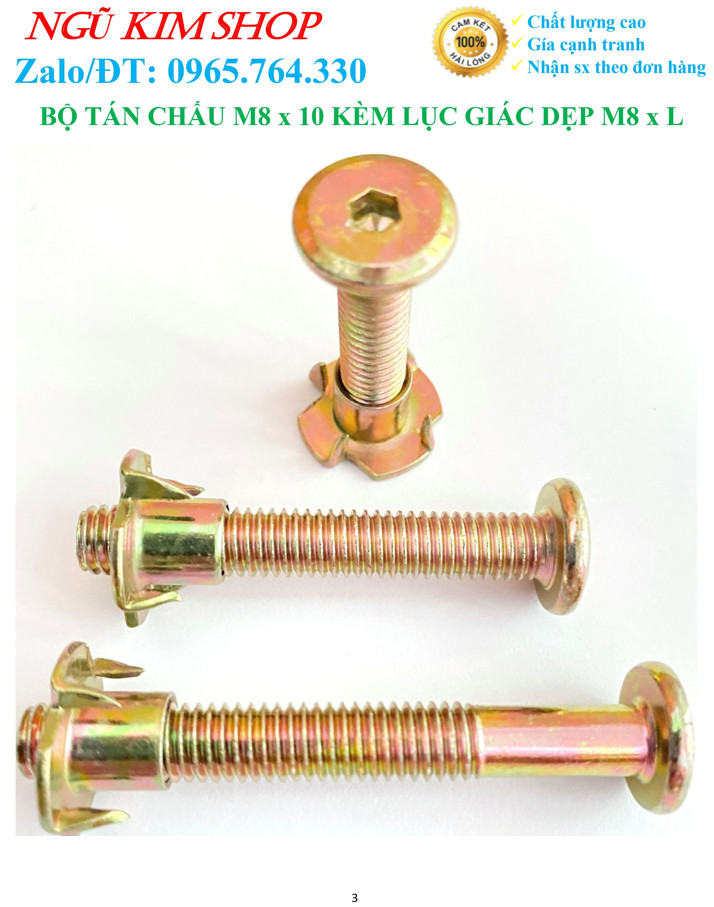 TÁN CHẤU M8 x 10 KÈM LỤC GIÁC DẸP M8 x L THEO BỘ