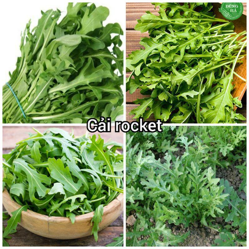 Hạt giống rau cải rocket cao sản - 20gr/gói