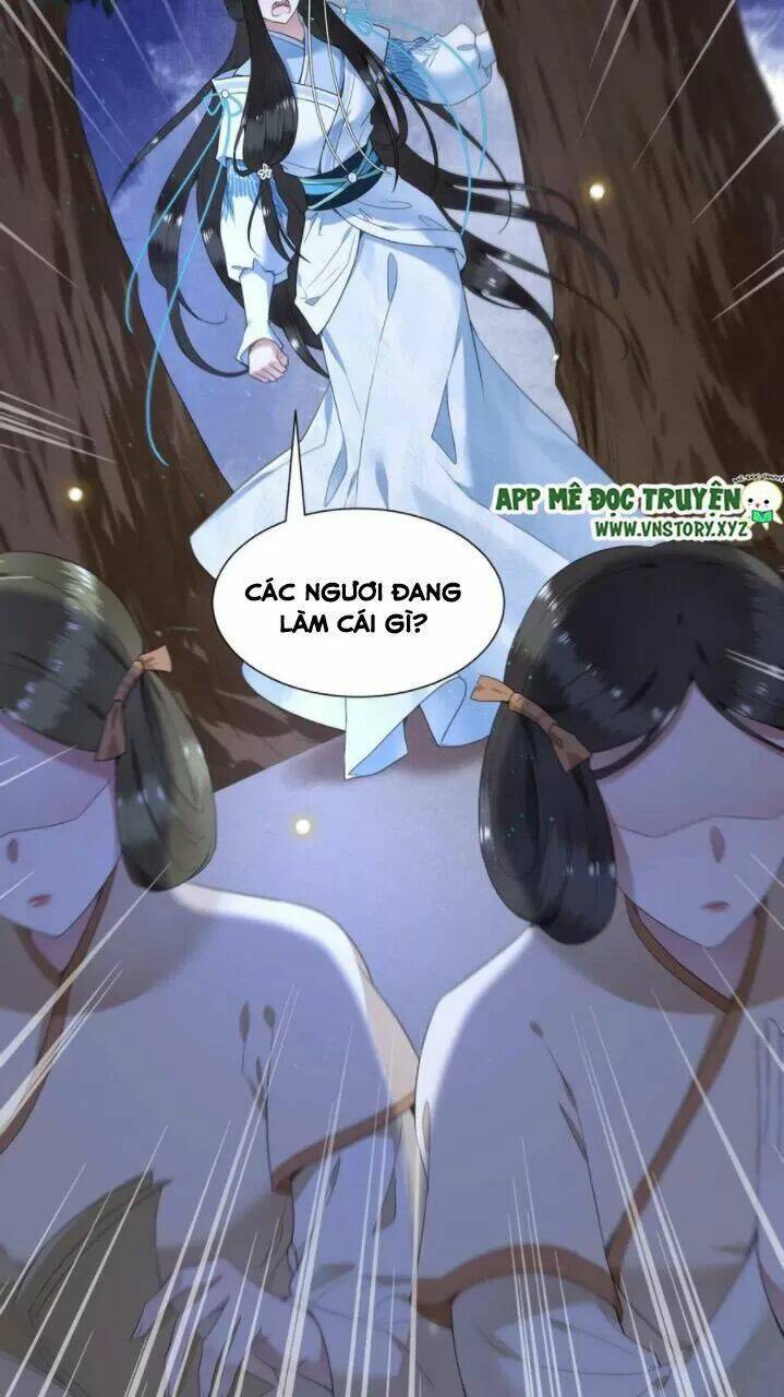 phượng hoàng vu phi chapter 71 25