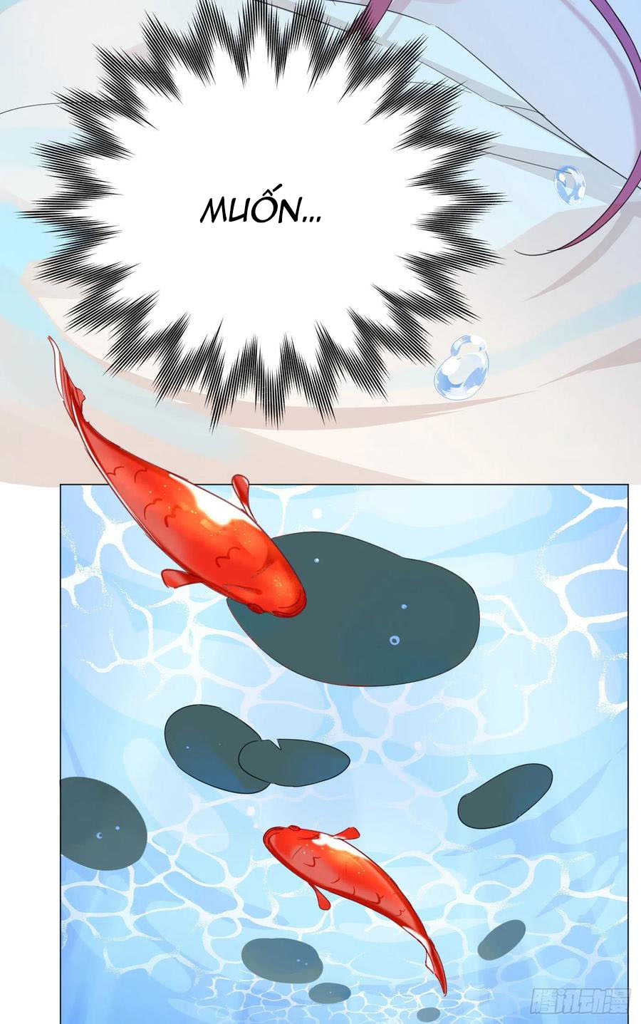 nhất hoàng cửu công thập nhị thê chapter 38 17