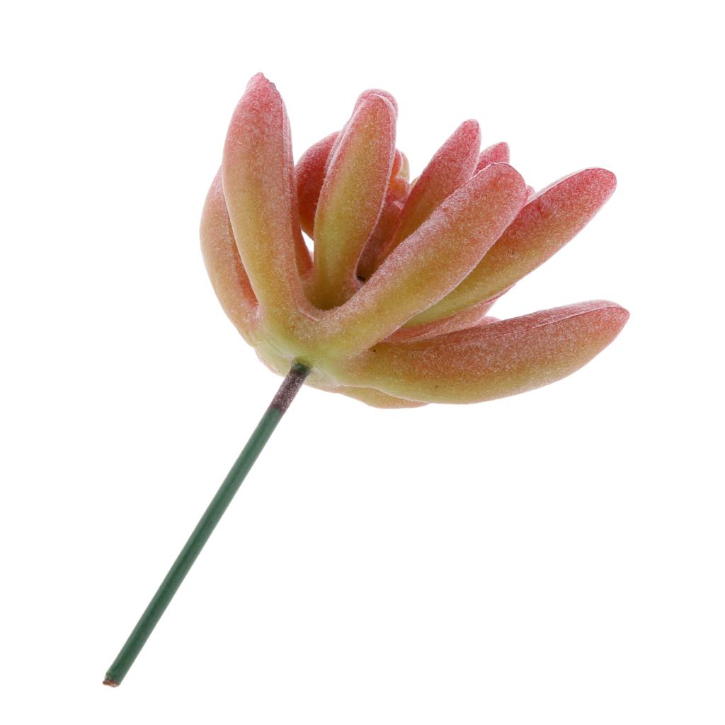 Artificial Mini Plant Flower Succulent Lotus Grass Garden Landscape #1 Red