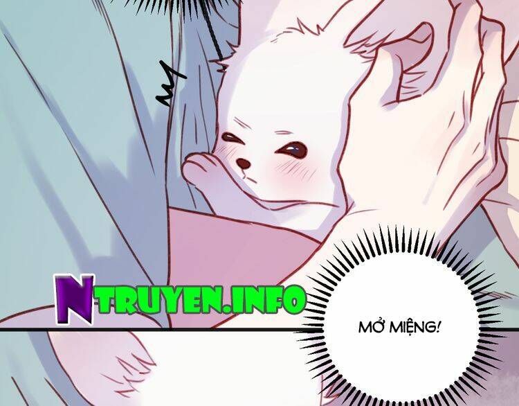 lượm được 1 tiểu hồ ly chapter 75 28