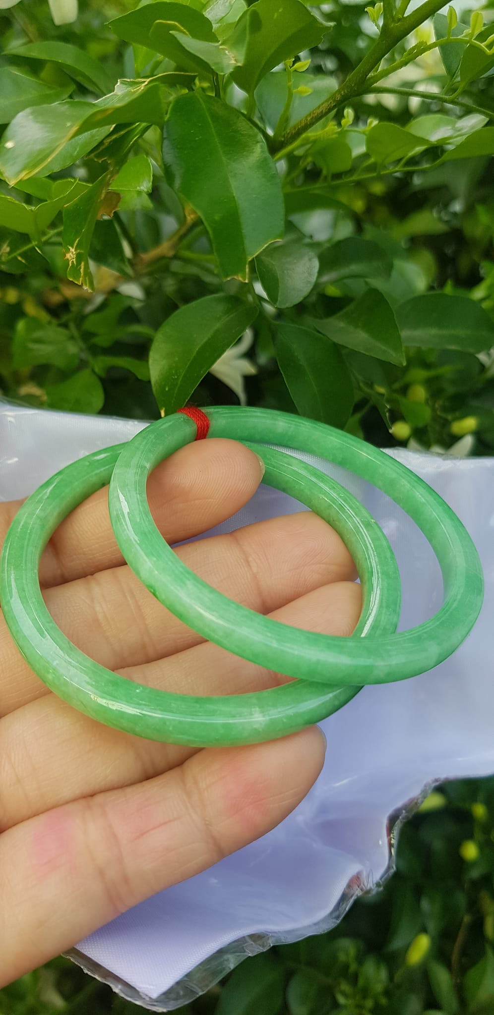 ️Cặp vòng tay đá ngọc cẩm thạch bản vuông V Đậu 50mm Size vòng 50mm x dầy 5mm x bản mỏng cao 5mm màu xanh lá ngọc đậu đều bóng đẹp Nữ Mệnh Mộc Hoả Thủy 49kg - 53kg đeo ạ