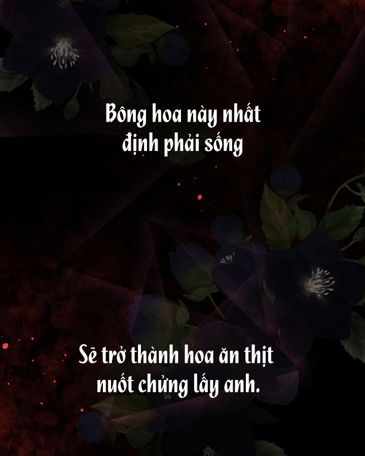 đừng đặt tình cảm mình vào cuốn sách đó chapter 15 111