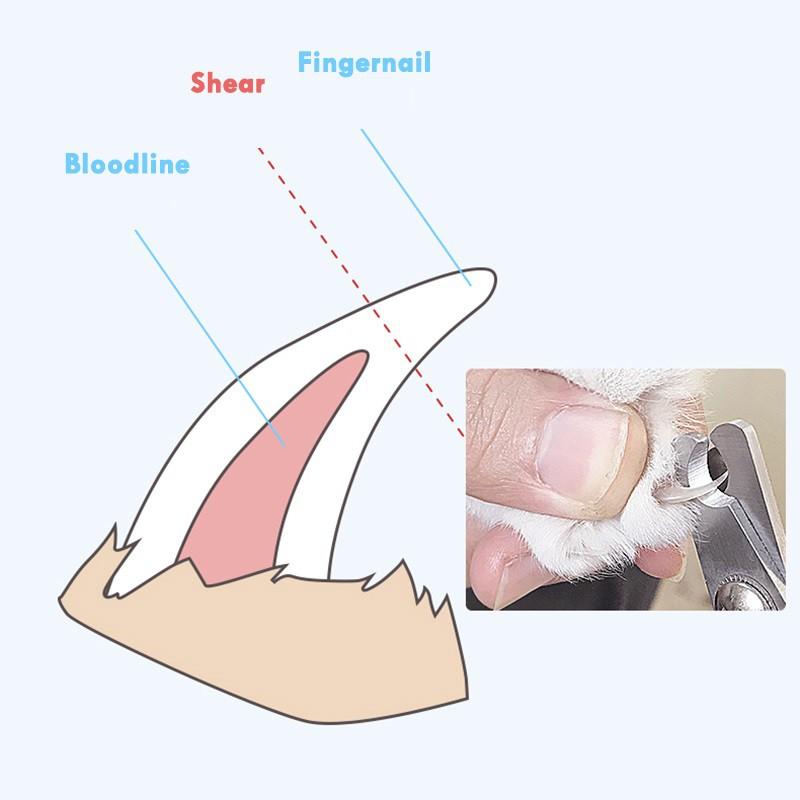 SIZE L Kìm Cắt Móng Kìm Bấm Móng Thẳng Cho Chó Mèo