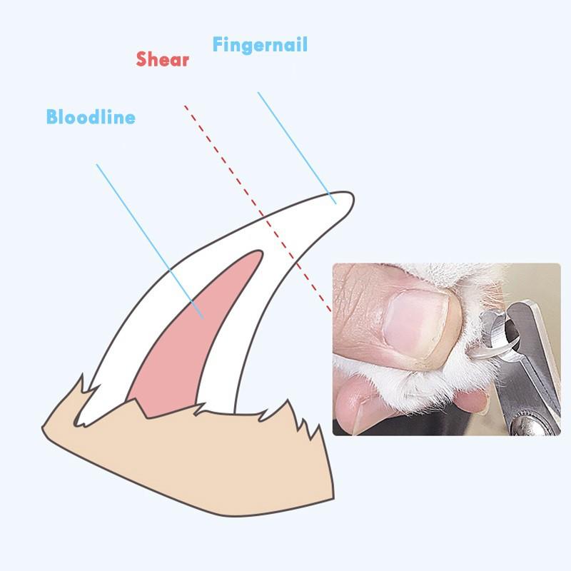 【Có hàng sẵn】SIZE L Kìm Cắt Móng Kìm Bấm Móng Thẳng Cho Chó Mèo