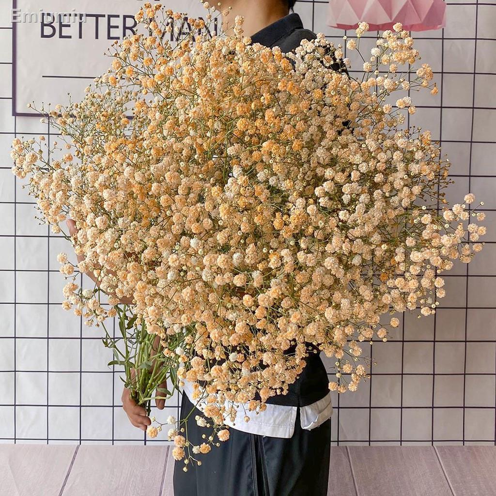 ✸Gypsophila bó hoa khô siêu lớn trang trí nội thất nhà cửa
