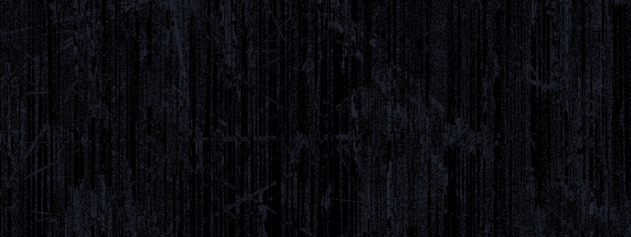 codename anastasia chapter 27.2 65