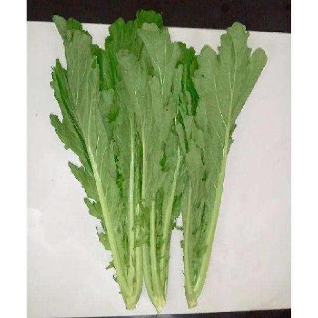 Hạt giống rau cải mèo cao sản KNS3383 - 1 gói 10gram