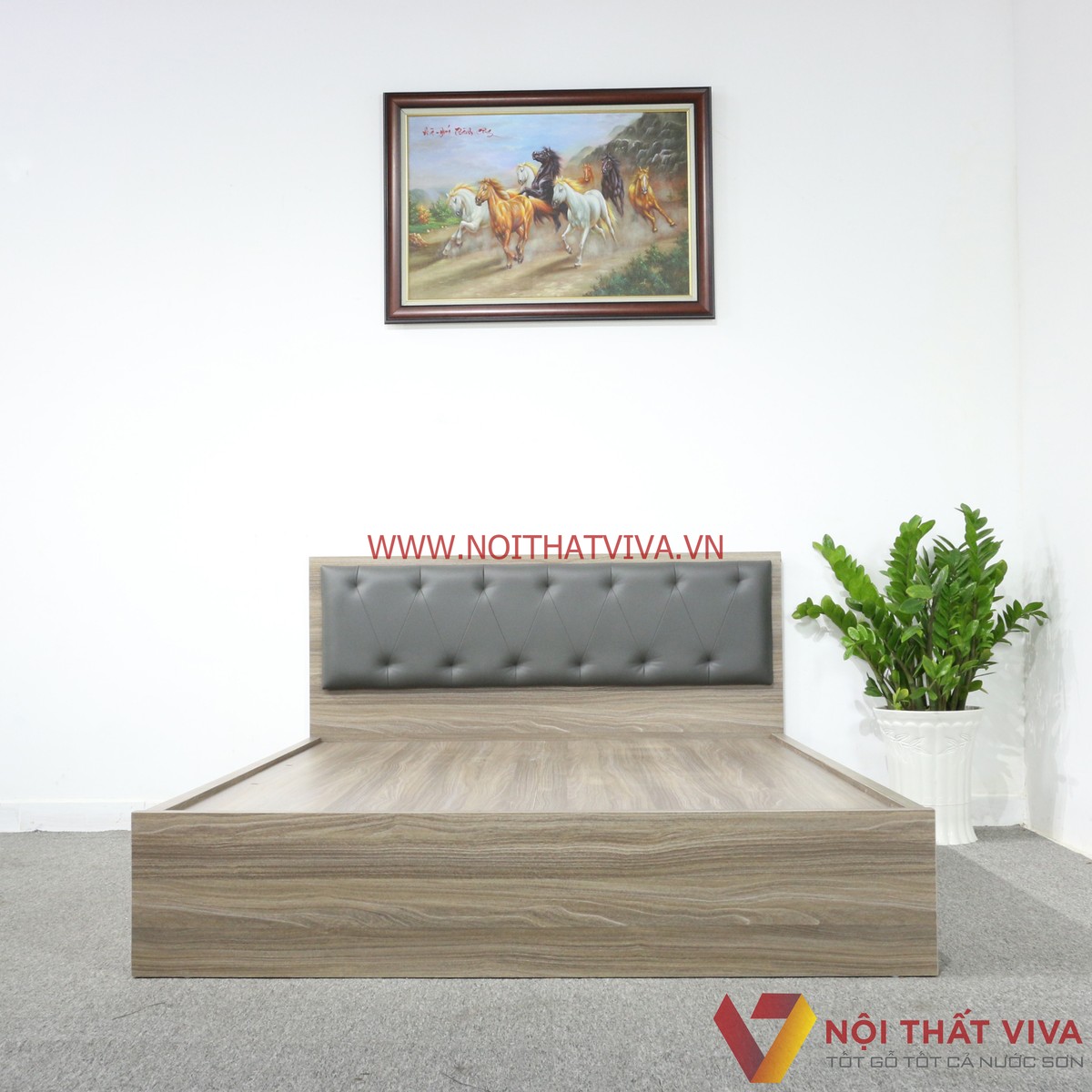 Giường Ngủ Gỗ MDF Melamine Màu Xám Vân Gỗ Có Đầu Nệm Đen Đẹp Giá Rẻ