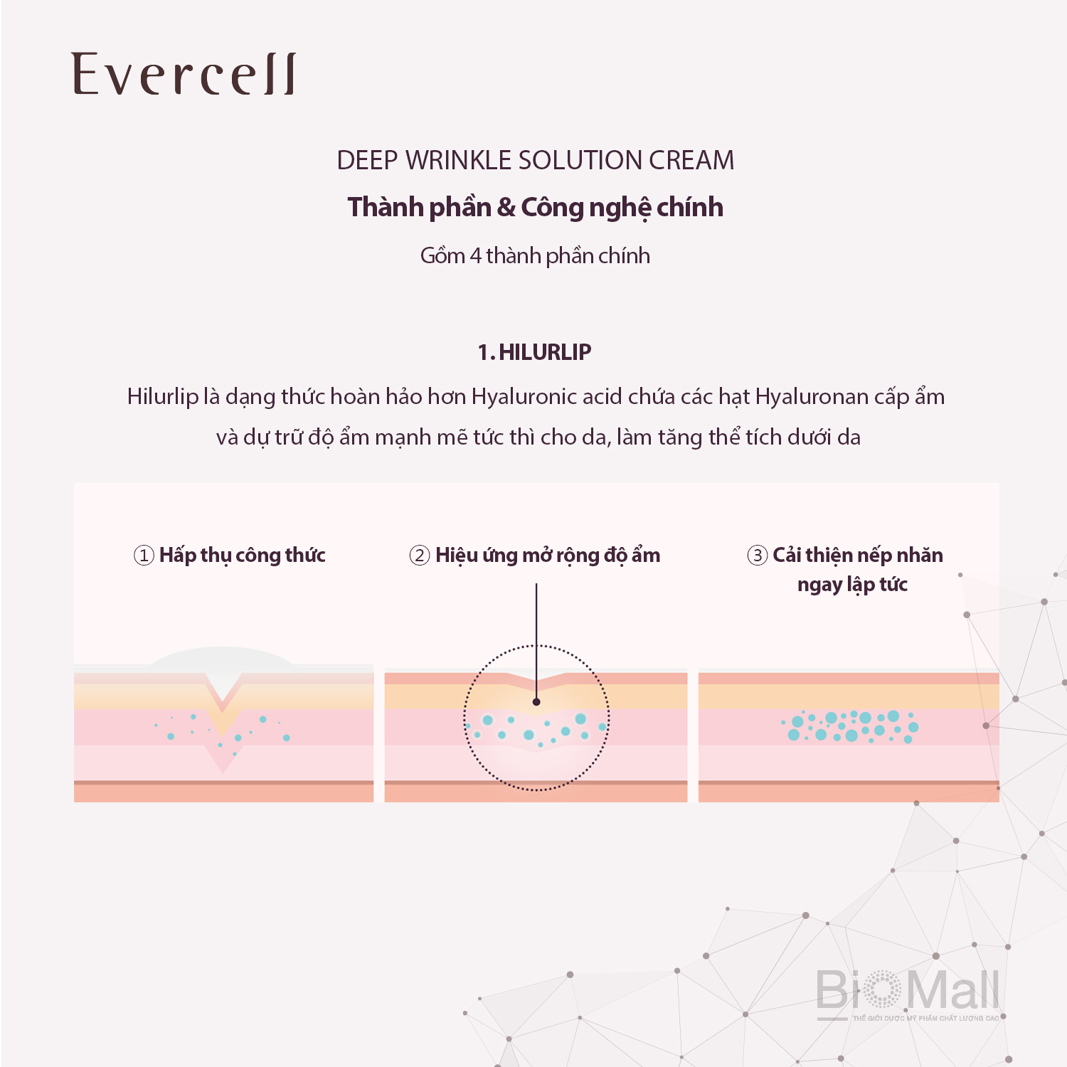 Kem chống Nếp nhăn sâu Công nghệ Tế bào gốc EVERCELL Deep Wrinkle Solution Cream nozzle type