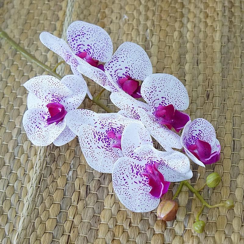 Cành lan cao su hồ điệp loại 7 bông