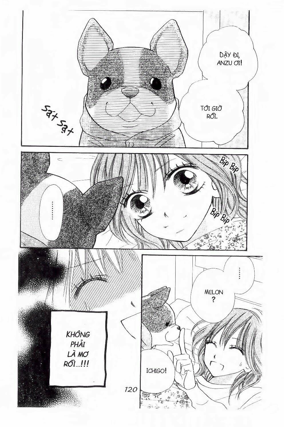 ichigo to anzu chapter 15 19