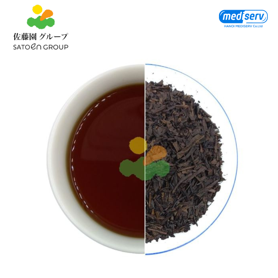 Combo 01 Trà túi lọc Satoen Houjicha Special + 01 trà túi lọc Satoen Sencha Special - Hộp 20 túi lọc