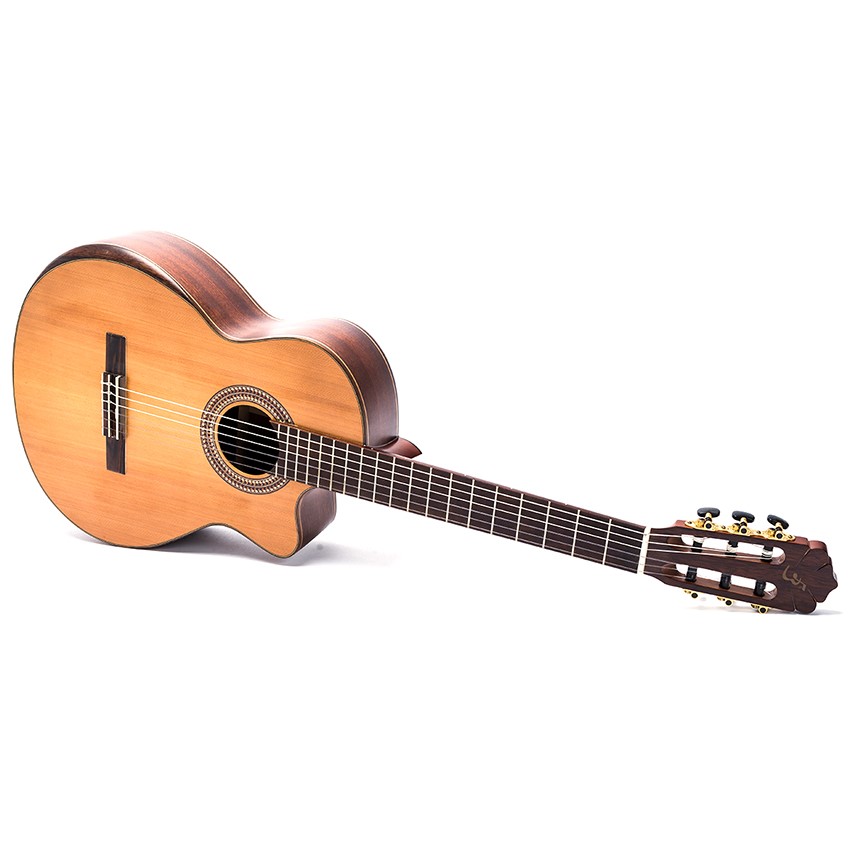 Đàn Guitar Classic DC450J guitar Việt Nam