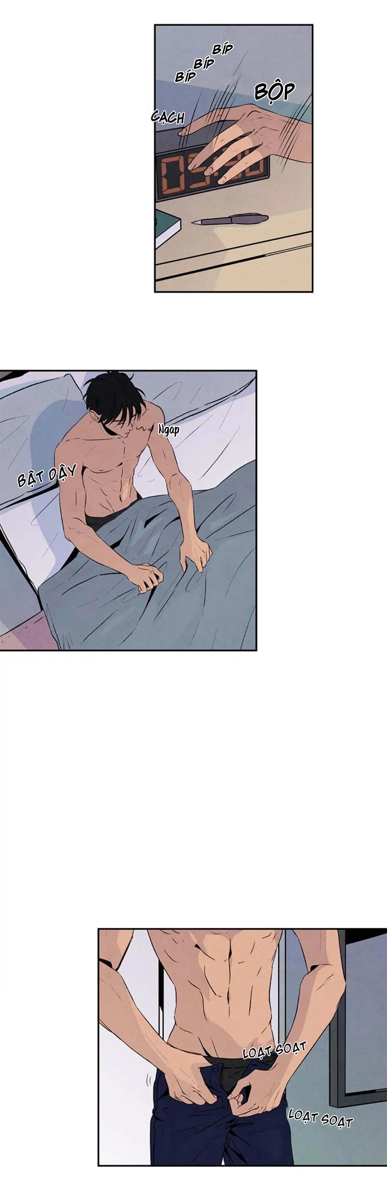 bona sort chapter 18 14