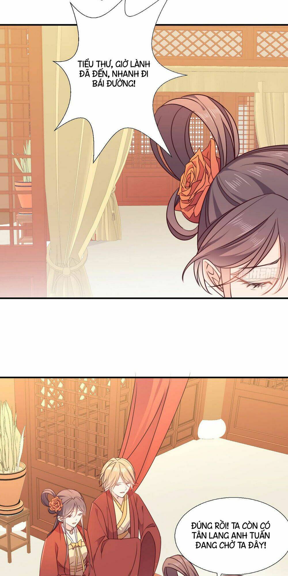 nguyên lai là hoa nam thành chapter 1 28