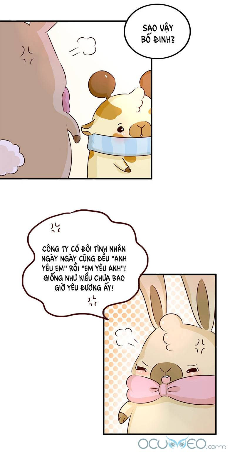 lạc chẩm cổ dài chapter 7 2