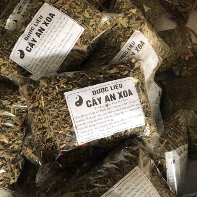 cây an xoa khô