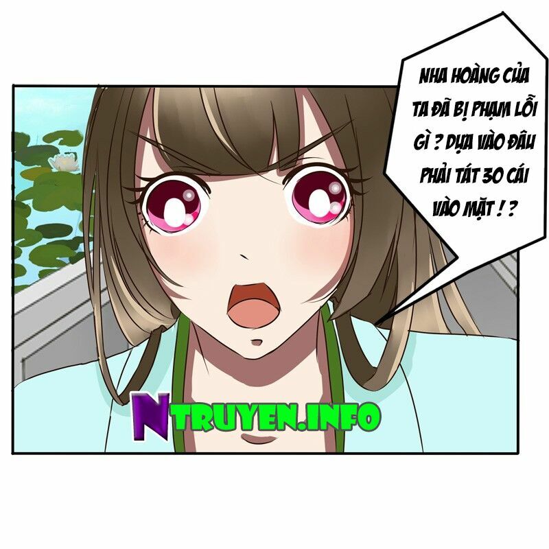 thông linh phi chapter 48 22