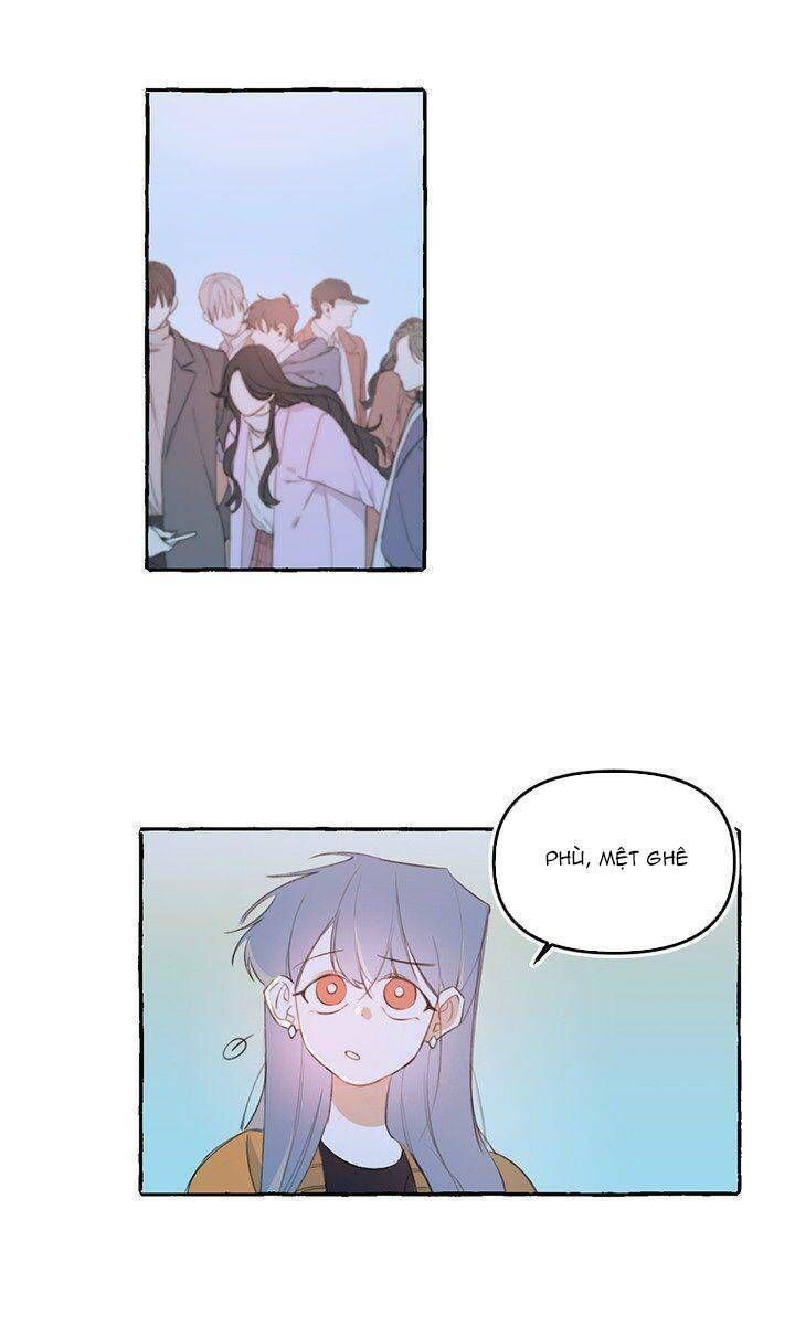 lời yêu thì cần app để dịch không? chapter 12 10