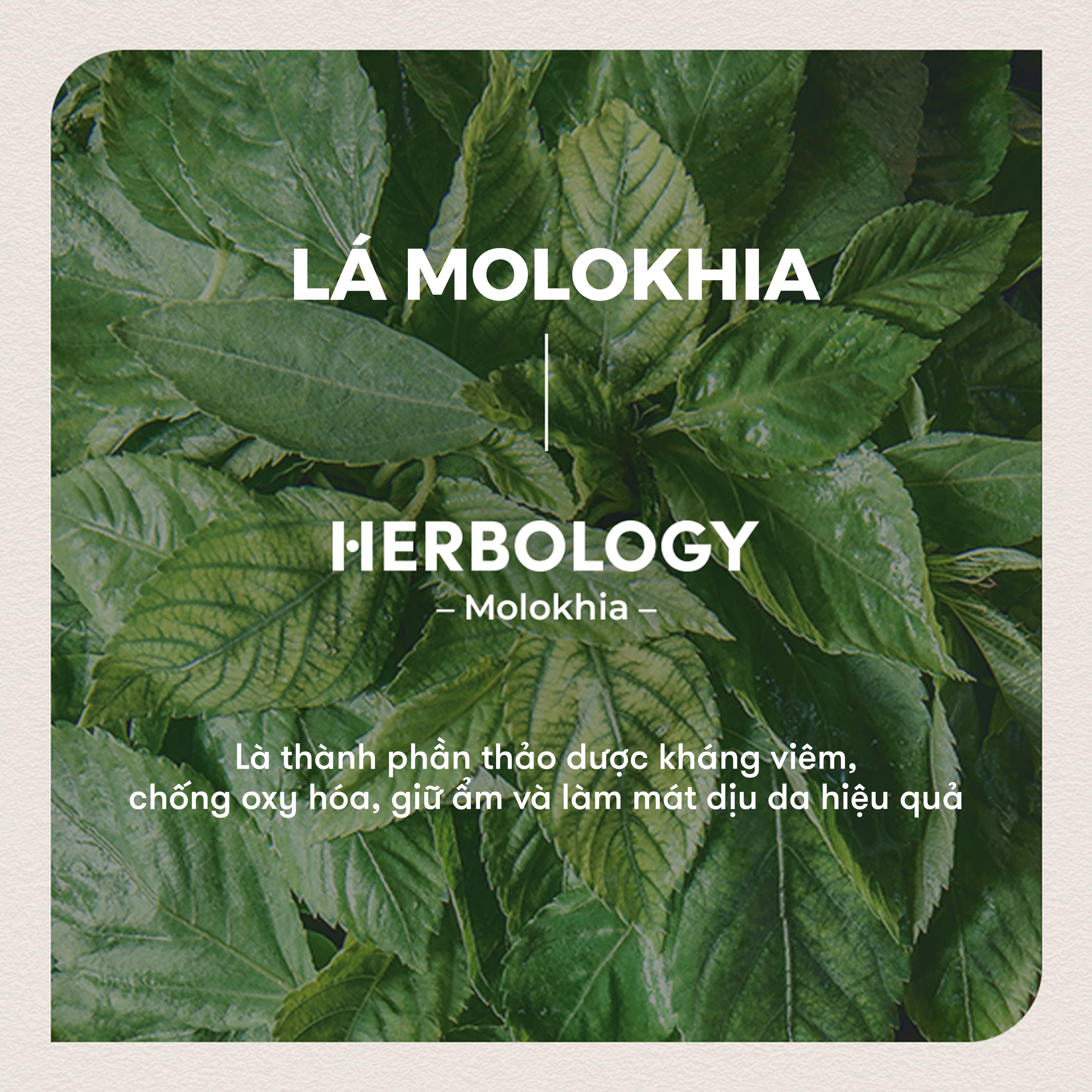 Kem dưỡng Nature Republic Herbology Molokhia Deep Moisture Cream 70ml