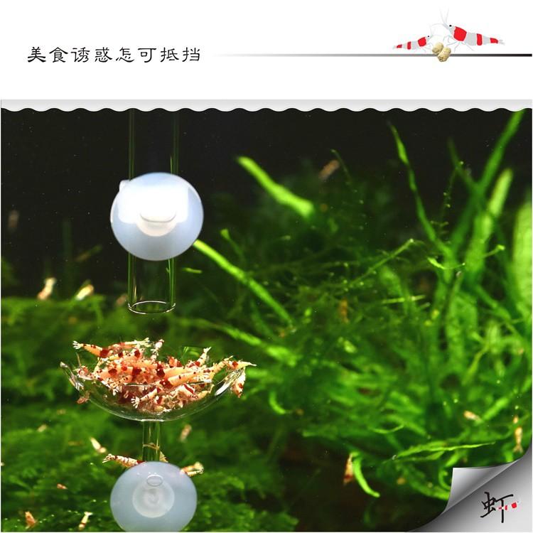Đĩa cho tép ăn - phụ kiện thủy sinh - shopleo