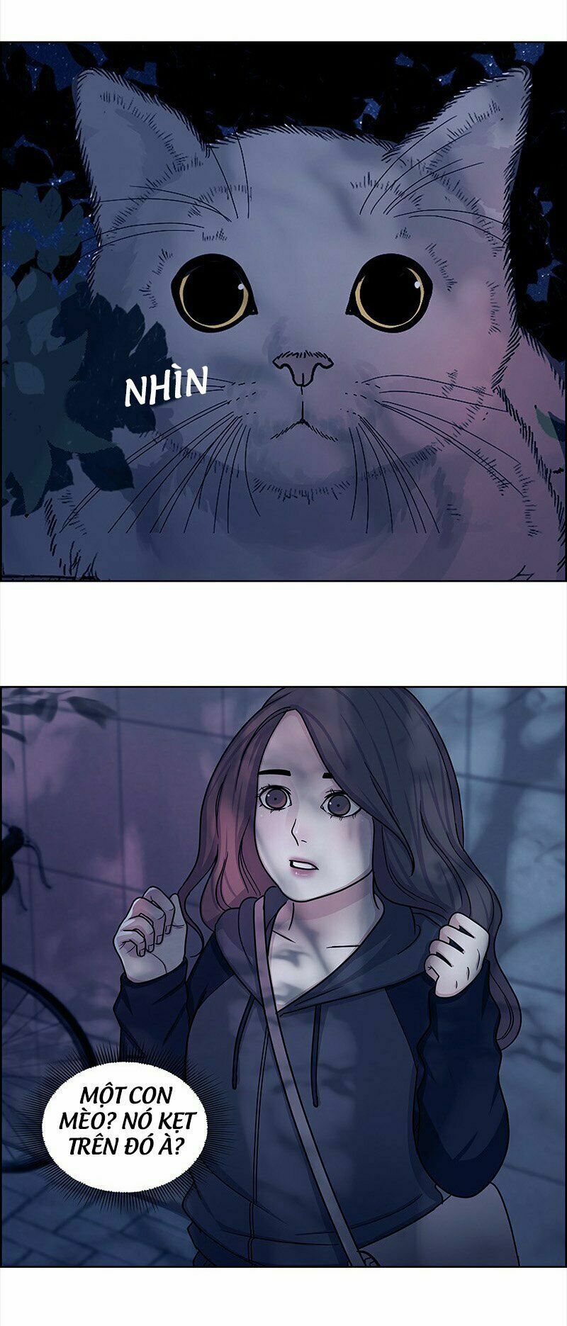 nửa đêm ở poppy land chapter 5 50