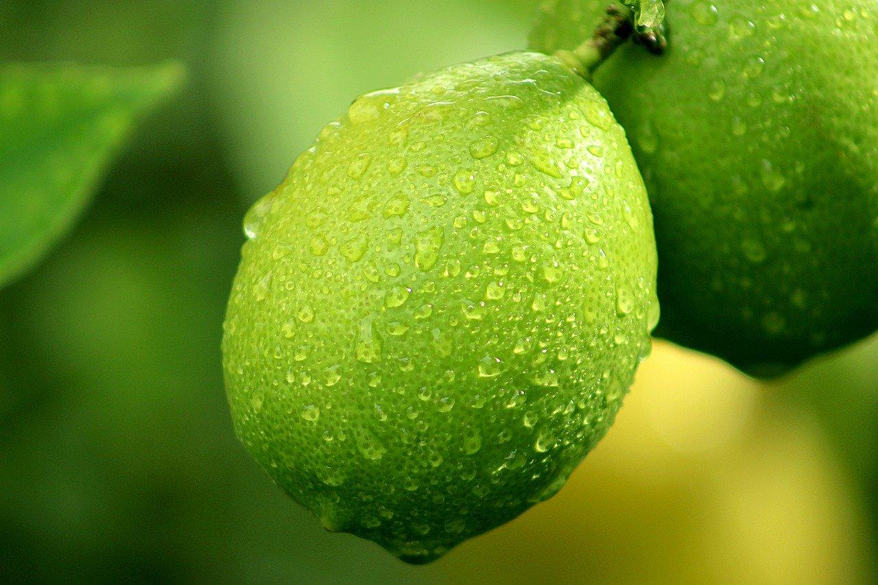 Hũ nến thơm tinh dầu Bolsius Fresh Lemon 305g QT024371 - hương chanh tươi, nến trang trí, thơm phòng, thư giãn, Hỗ trợ khử mùi