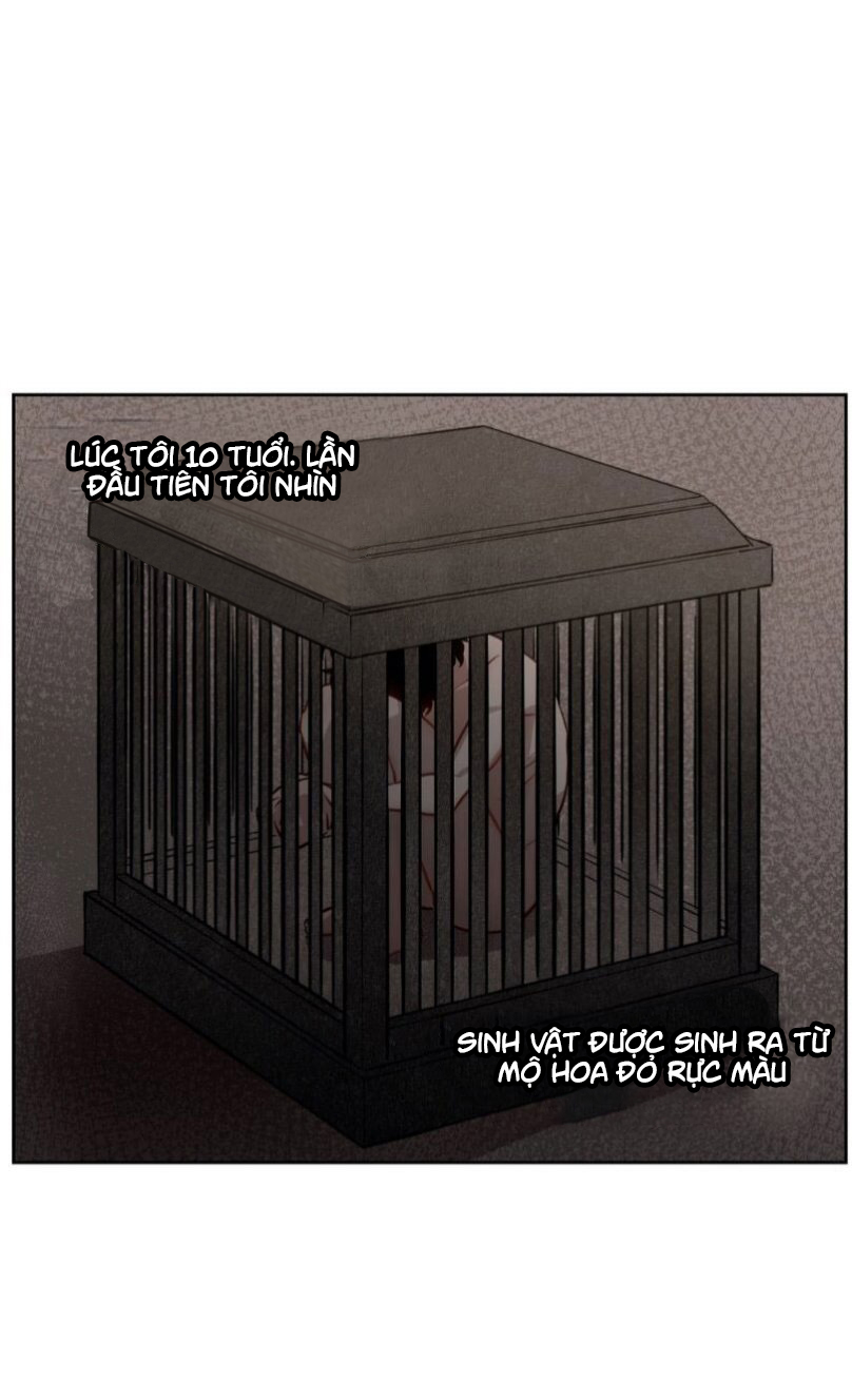 hương vị ngọt ngào chapter 2 41