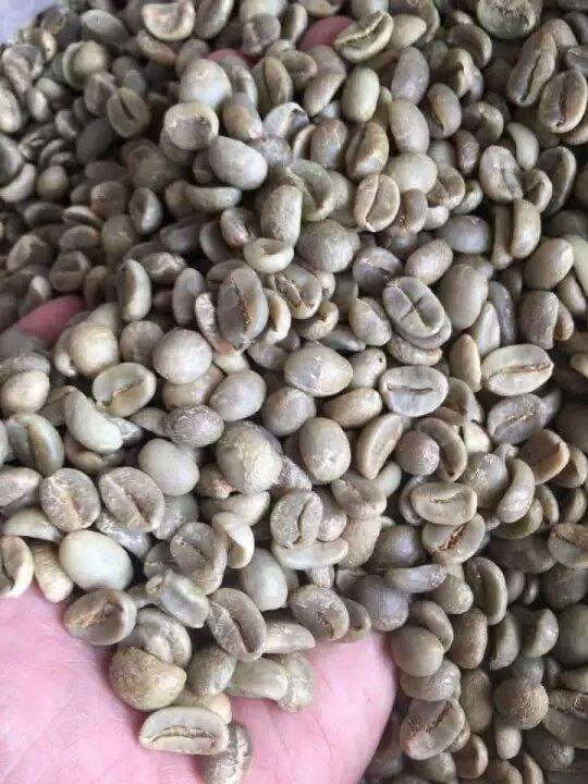 Nhân cà phê arabica cầu đất chất lượng cao
