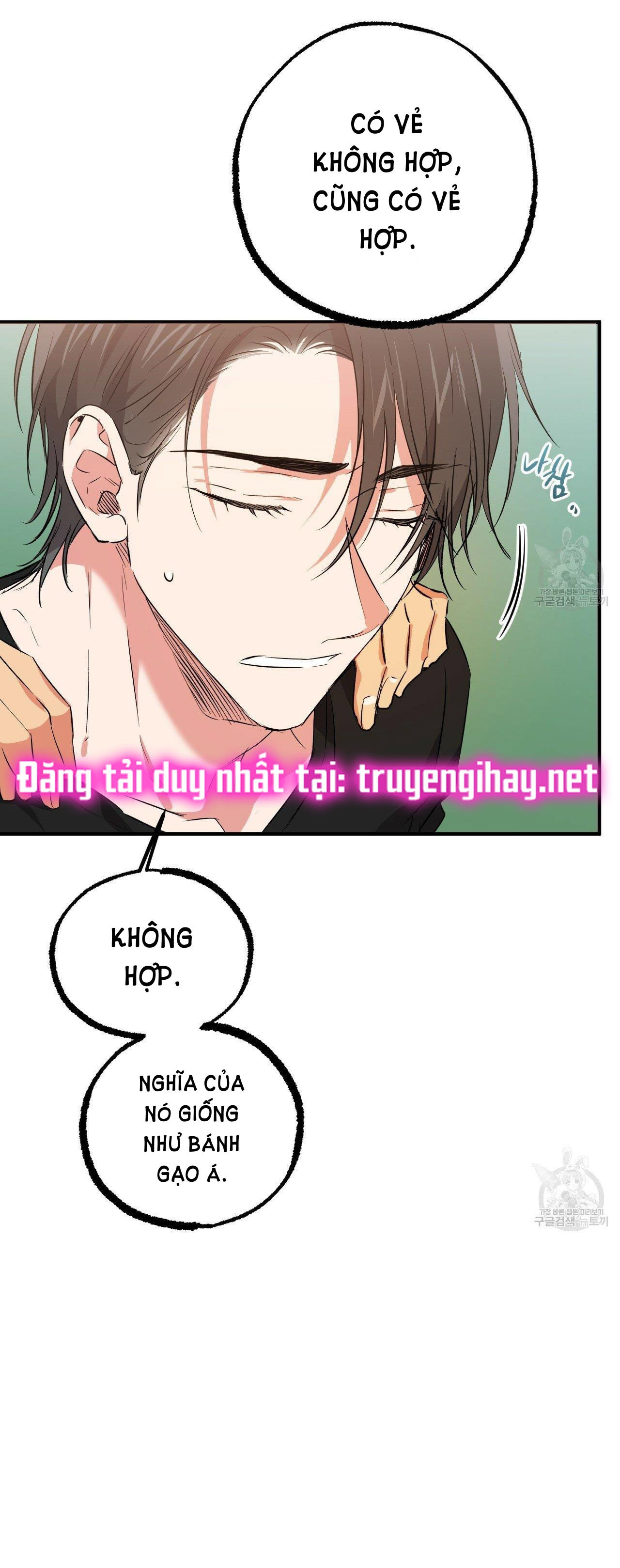 những chú thỏ của hapypy chapter 53.2 24