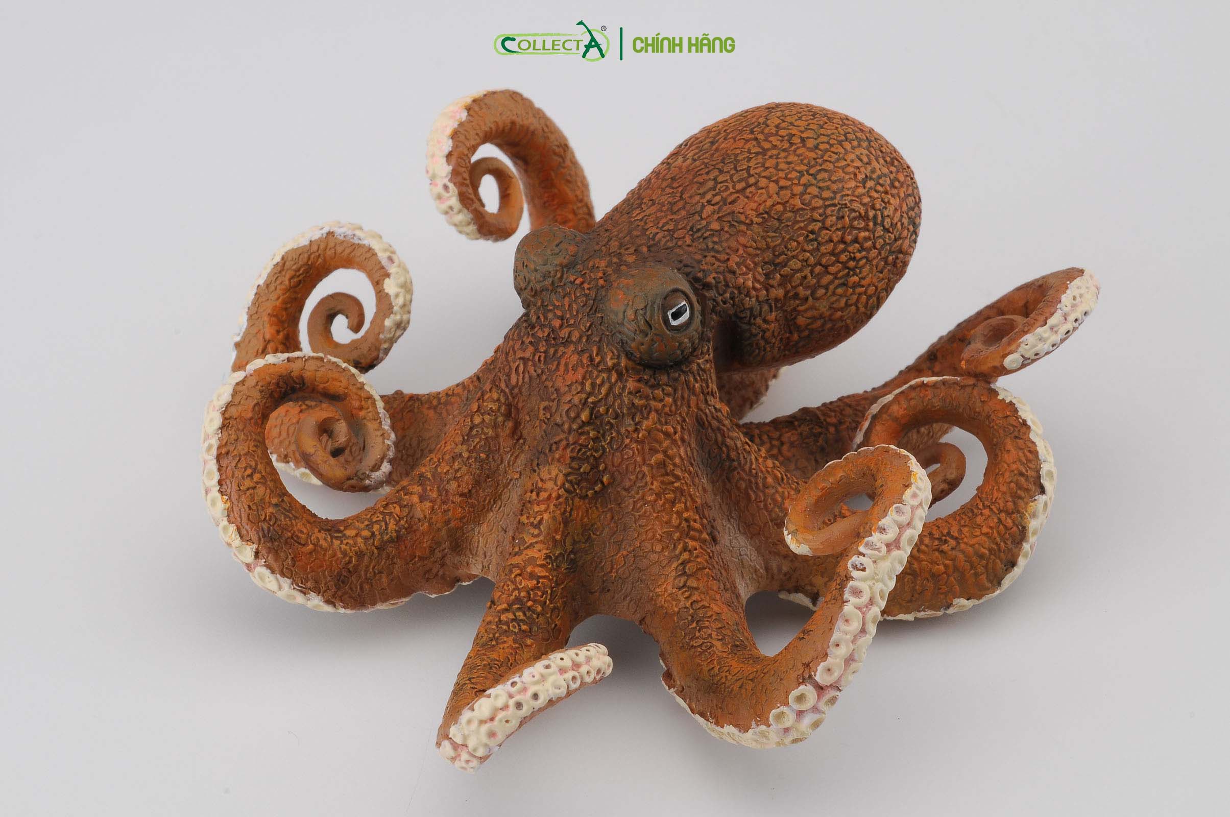 Mô hình thu nhỏ: Bạch Tuộc - Octopus, hiệu: CollectA, mã HS 9652150[88485] -  Chất liệu an toàn cho trẻ - Hàng chính hãng