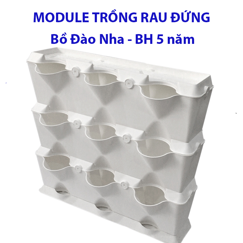 CHẬU MODULE TRỒNG RAU BAN CÔNG NHẬP KHẨU BỒ ĐÀO NHA
