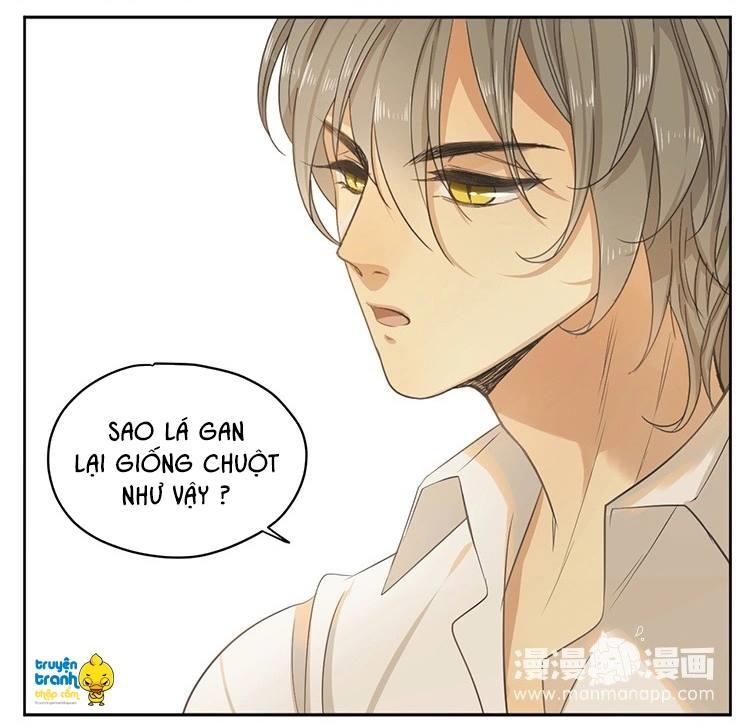 cứu mạng ! loài mèo thống trị thế giới rồi ! chapter 16 15