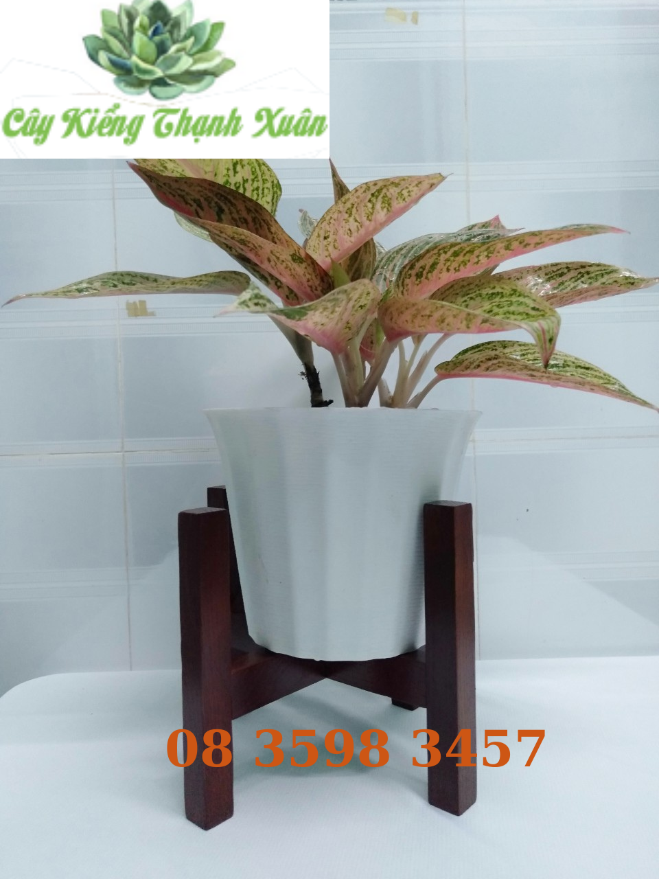 Kệ để chậu hoa, cây cảnh chân vuông màu nâu  (quy cách 20x26cm)