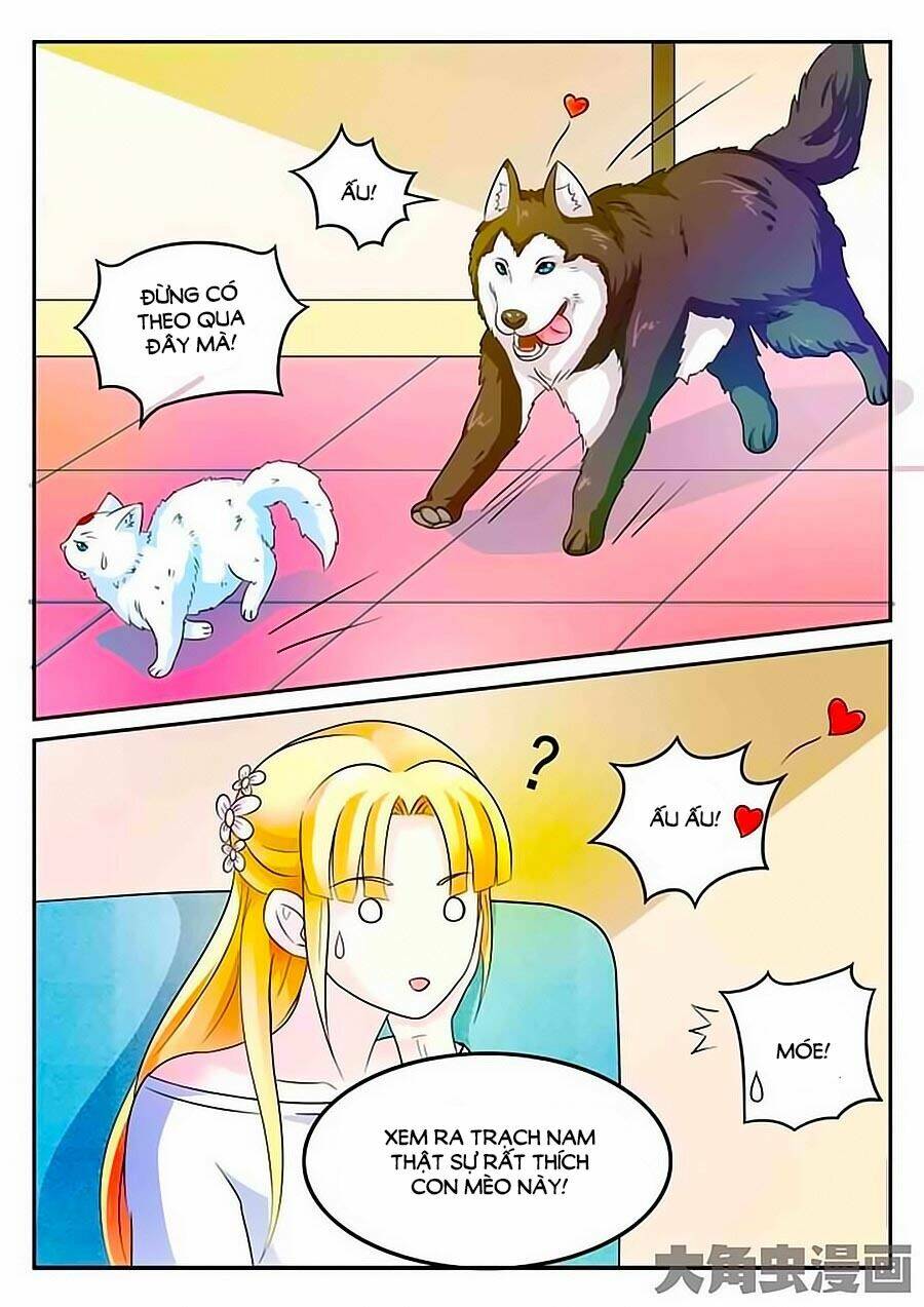 mau lấy con mèo đó ra chapter 3 4