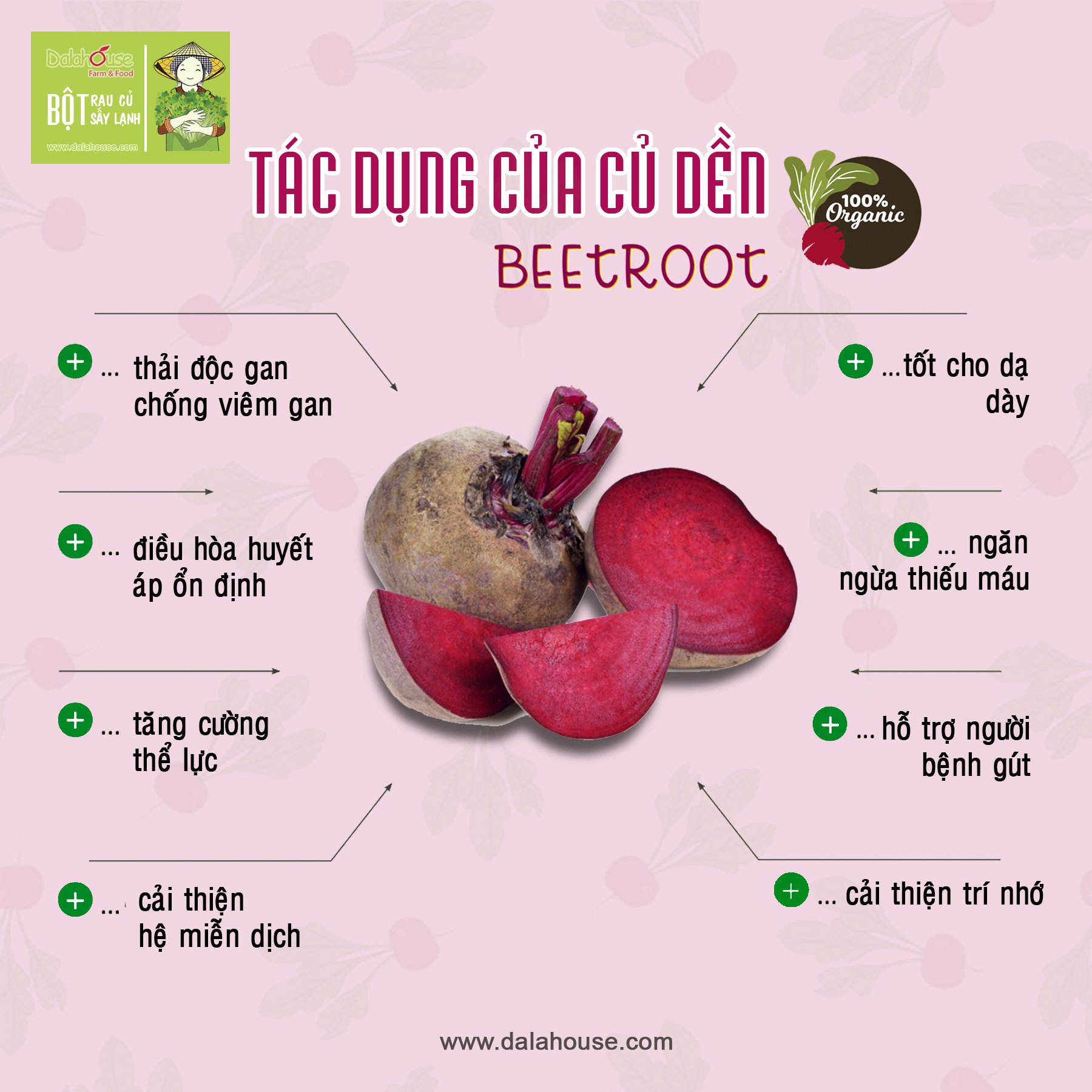 Bột Củ Dền Nguyên Chất Sấy Lạnh Dalahouse - Bổ máu, điều hòa huyết áp, đẹp da, cải thiện trí nhớ _ 120g/ 60g