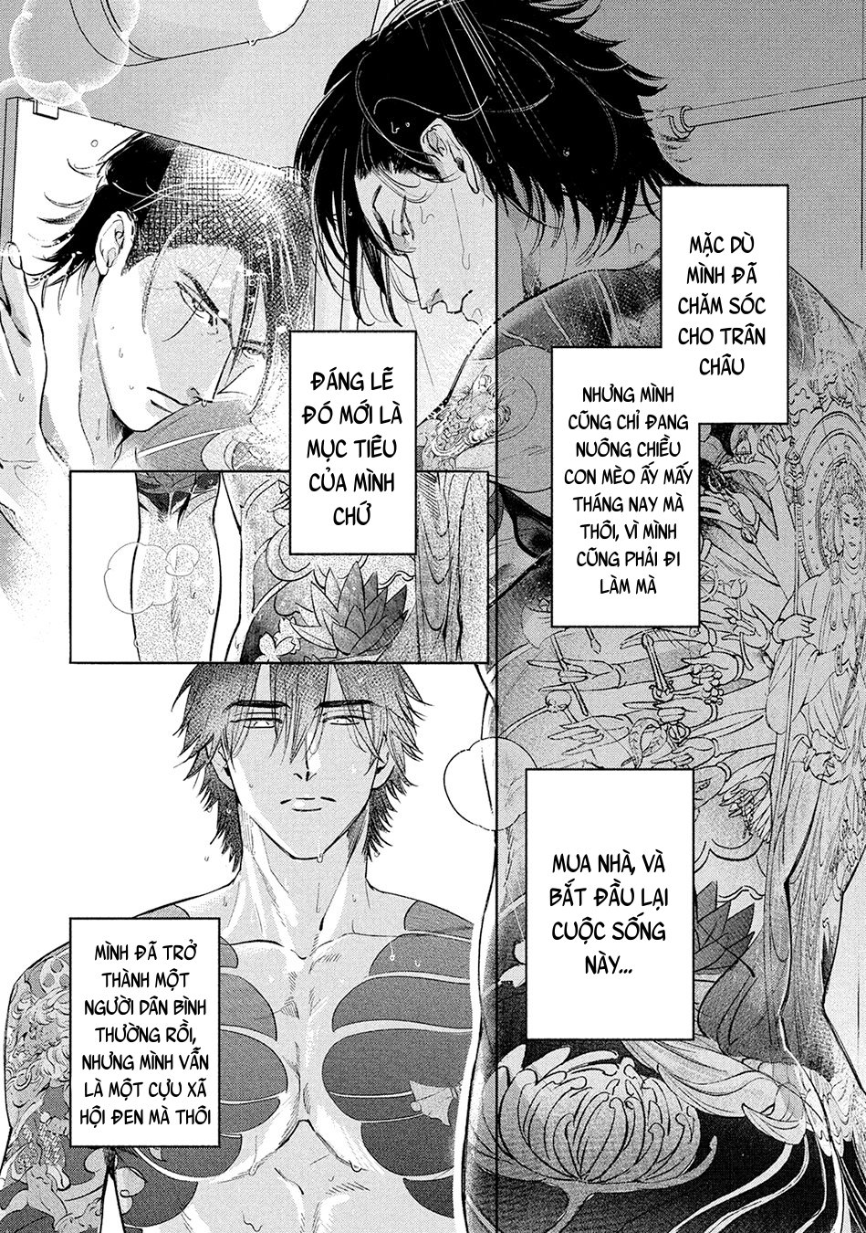 tình đầu điên dại chapter 3 18