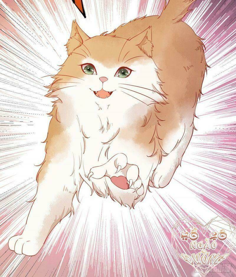 sát thủ vương phi không dễ chọc chapter 37 15