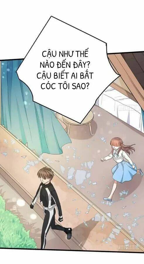 chào buổi sáng, ức vạn manh thê chapter 41 8