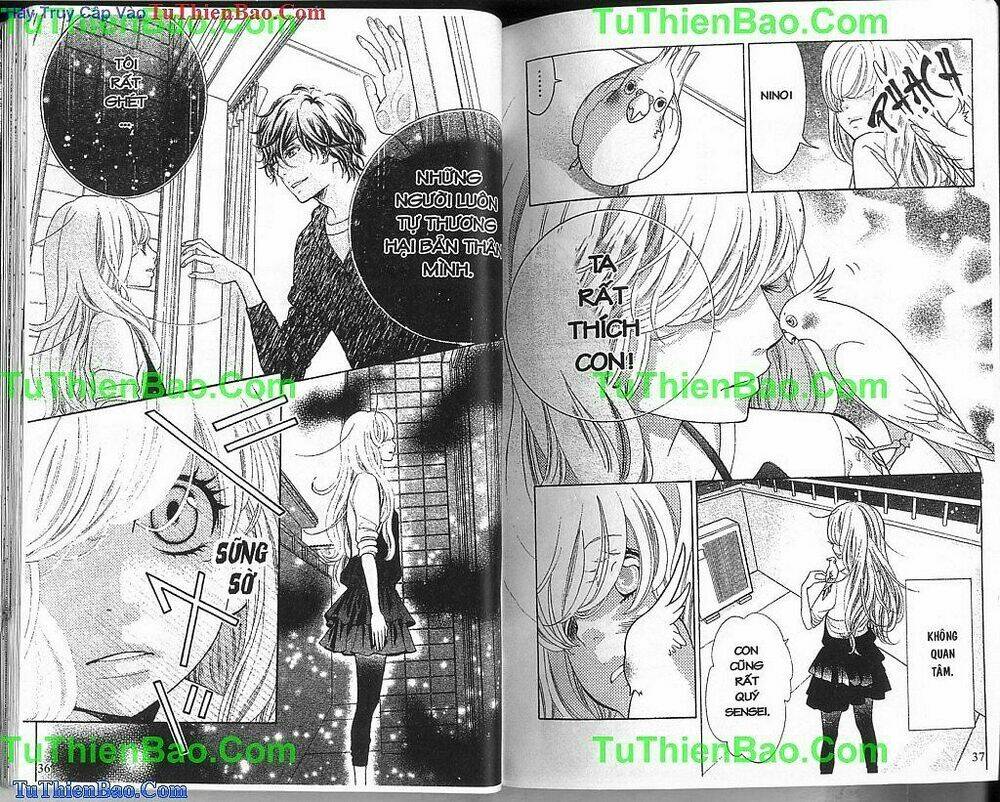 anh bạn bí ẩn chapter 1 19