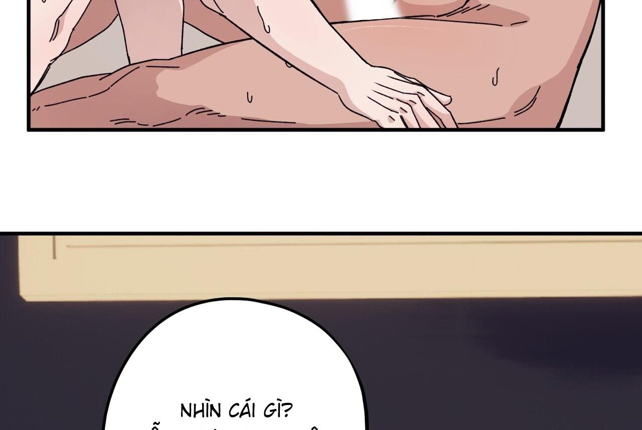 chàng dâu nhà họ kang chapter 46 6