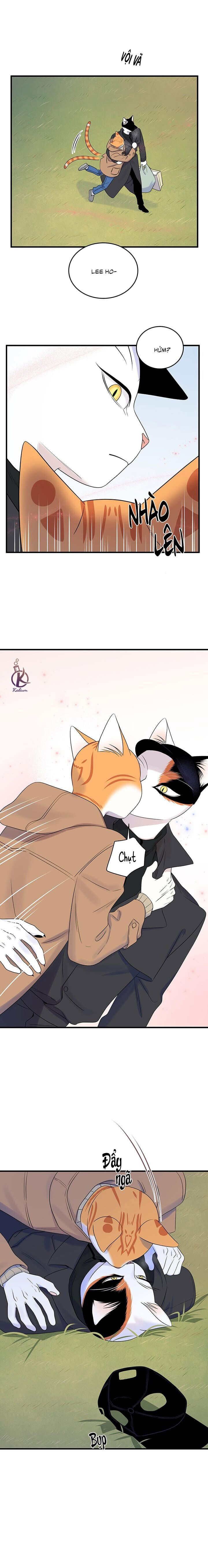 dự án xanh chapter 54 15