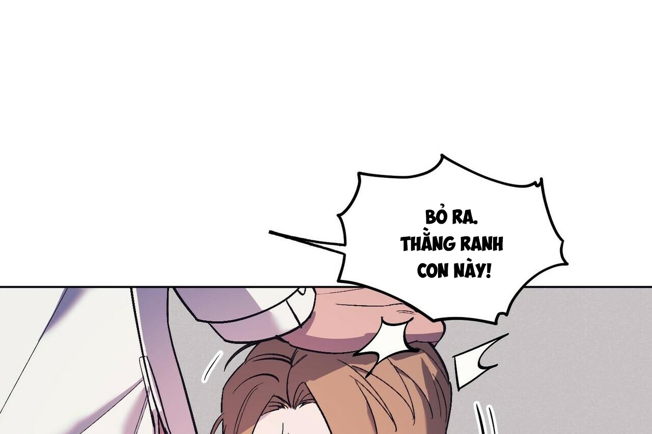 chàng dâu nhà họ kang chapter 15 106