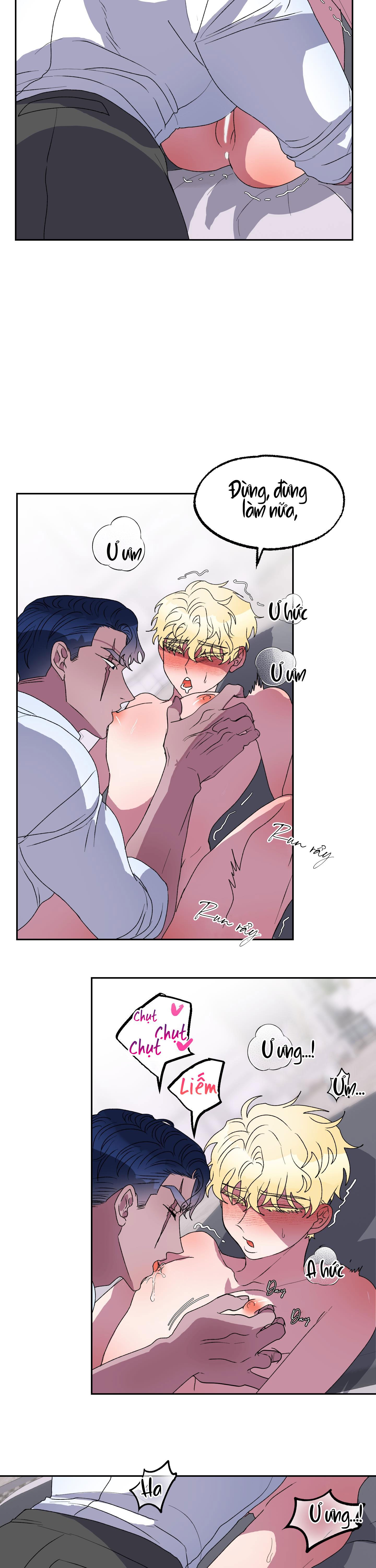 cá mập và cô dâu thỏ chapter 11 8