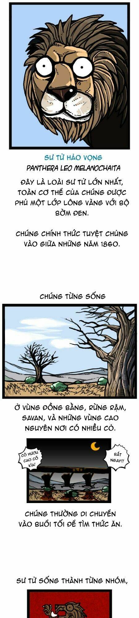 earth, human, and animal chapter 27 16