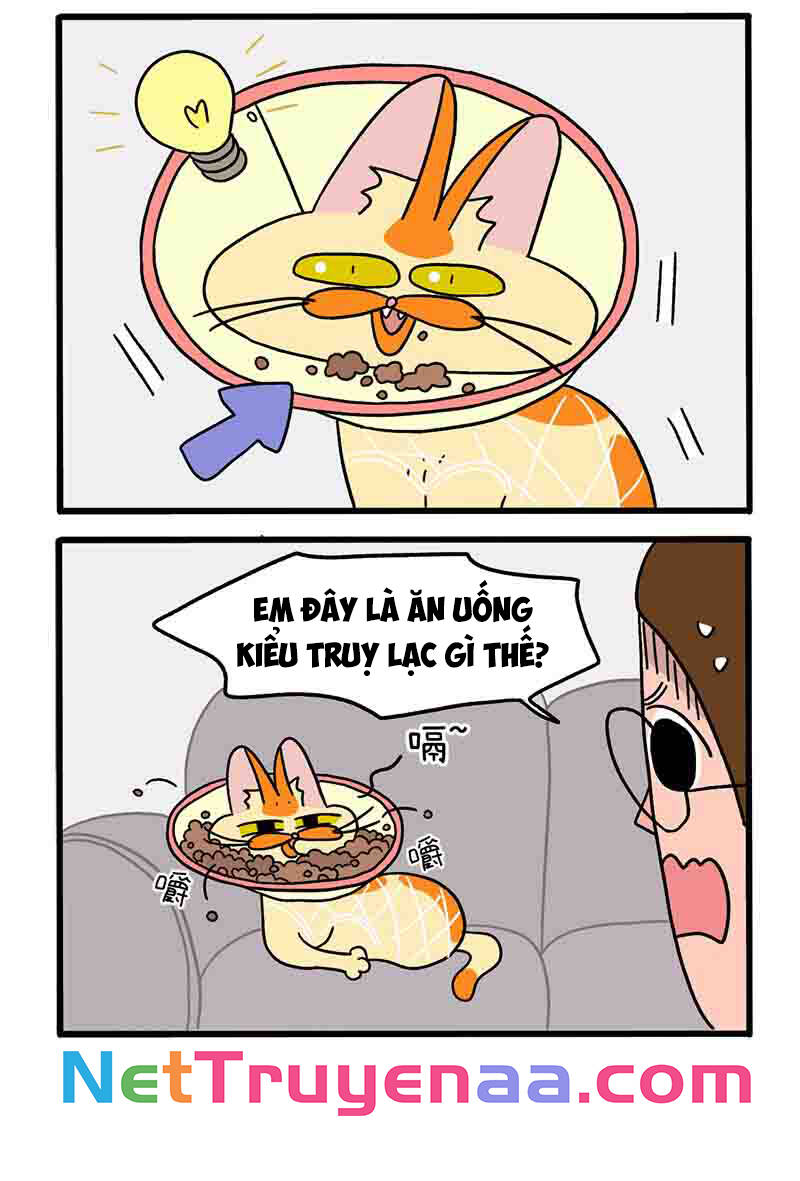 a mãn và mạch trà chapter 23.1 4