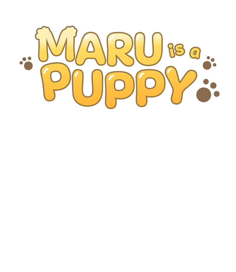 maru là một bé cún chapter 3 15