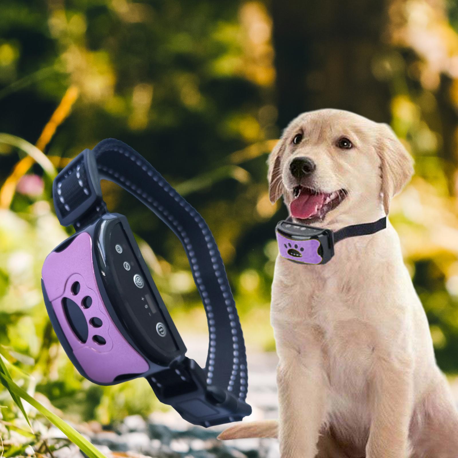 Collar for Dogs Sensitivity Stop for All Dogs
